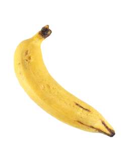 "George of the Jungle" Prop Banana | Planet Hollywood Vault