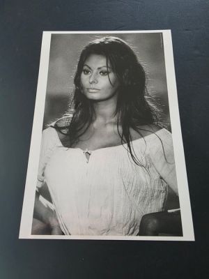 Sophia Loren (1964) by Stephen Albert Schapiro | Catawiki