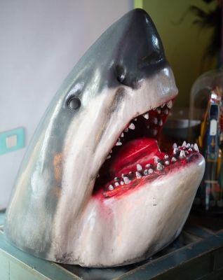 Figurine - Tête de requin Jaws - polyester | Catawiki