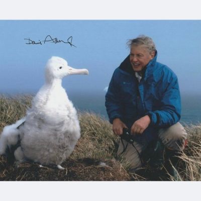 TV and Documentary Legend - Signed by Sir David Attenborough | Catawiki