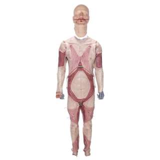HELLRAISER (2022) - Lot 186 - Roland Voight‘s (Goran Visnjic) Bloodied Cenobite Prosthetic Costume