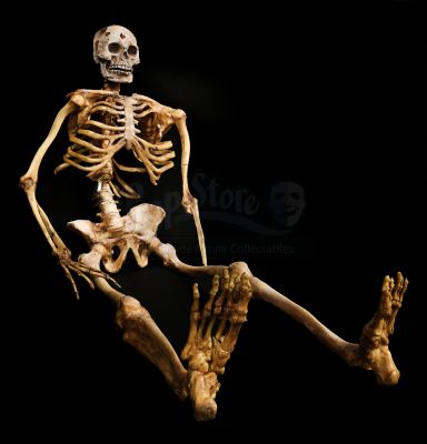 Sahara | Ironclad Civil War Skeleton | Propstore (Buy Now)