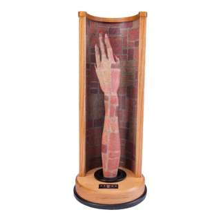 Signs (2002) | Backup Camouflage Alien Arm | Propstore