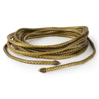 Gal Gadot Lasso of Truth from Wonder Woman | Studio Auctions