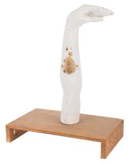 Bob Clampett’s “Golden Arm ©?? Cast. | Van Eaton Galleries