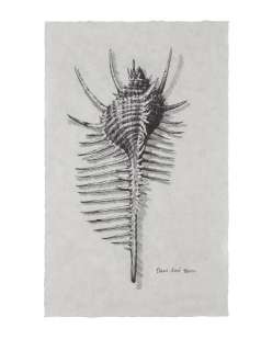 Alien - Covenant | Michael Fassbender "David 8" "Venus Comb Murex" Printed Sketch Prop | Julien’s