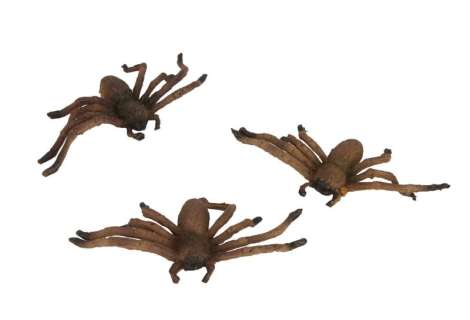 Lot 148 - Arachnophobia | Stunt Spider Props