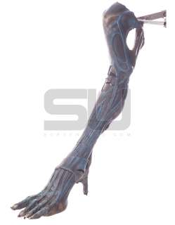 Aliens - Queen Alien Leg | ScreenUsed