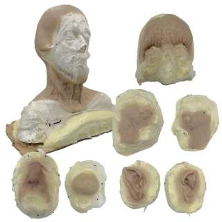 The Last Voyage of the Demeter Dracula / Nosferatu (Javier Botet) Production Used Cowl, Forehead, Face Right Side, Face Left Side, Chin, Right Ear, Left Ear & Nose Prosthetic Set | VIP Fan Auctions