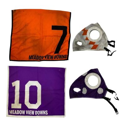 Lot 15: Play Dirty Horse Racing Screen Used Racetrack Horse Hoods & Racetrack Saddle Cloths | VIP Fan Auctions