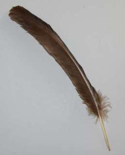 Harry Potter and the Philosopher’s Stone, a screen used quill, seen on screen on Hermione’s desk in… | Ewbank’s