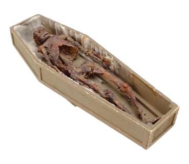 Lot 147 - Poltergeist (1982) - ILM Miniature Skeleton and Coffin