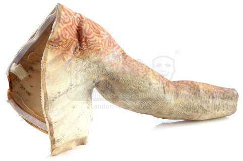 STAR WARS: THE PHANTOM MENACE (1999) - Lot 658 - Jar Jar Binks‘ (Ahmed Best) Arm