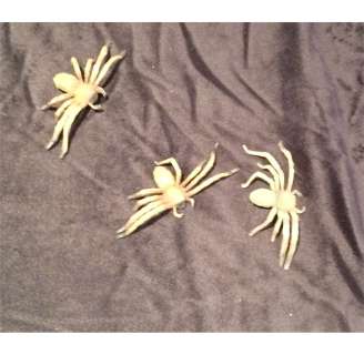 Arachnophobia – Movie Prop (Seen ON SCREEN!!!) | Piece of the Past