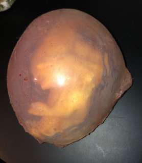 The Silence - Creature Egg Prop from the Film (0025) | Propabilia