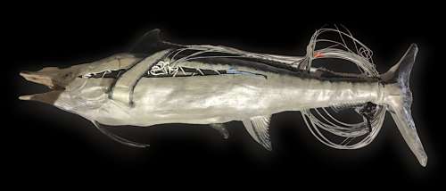 Lot 87 - The Good Doctor - Mech Marlin - Hero Piece from the show