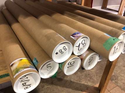 Group of assorted backlits & headboard graphics from "The Good Doctor" show San Jose St. Bonaventure | Direct Liquidation