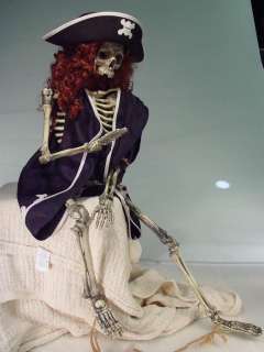 Skeleton in Pirate Costume 32" | Super Auctions