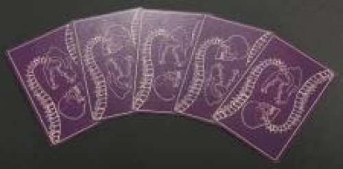 Penny Dreadful - Lot 13 - S1E06 - What Death Can Join Together: Lot of Five of Cups Tarot Cards