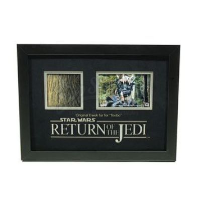 STAR WARS: RETURN OF THE JEDI - Teebo (Jack Purvis) Ewok Fur Display