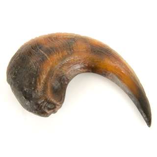 Lot 8 - Velociraptor Claw & Production Polaroid of Richard Attenborough from Jurassic Park