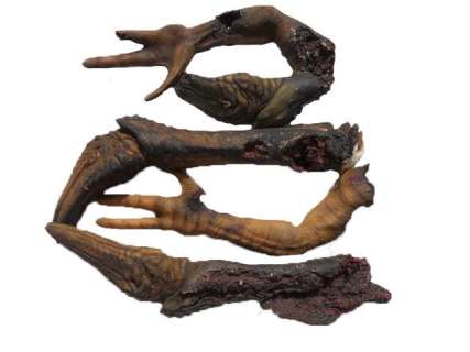 Falling Skies Blown Up Skitter Parts Movie Props | Premiere Props