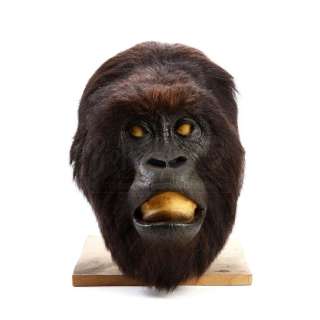 GORILLAS IN THE MIST (1988) - Lot 53 - Digit (John Alexander) Head Skin