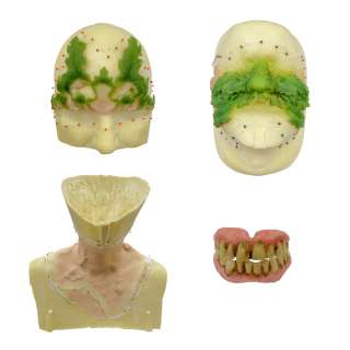 Men Green Man Rory Kinnear Production Used Prosthetic Face Set, Mouth Piece & Neck Skin | VIP Fan Auctions