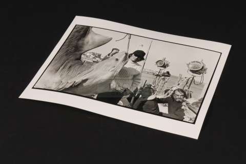 Jaws | Vintage double weight still - Steven Spielberg & Oscar | The Prop Gallery