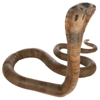 Lot 598 - King Cobra snake prop from The Exorcist III.