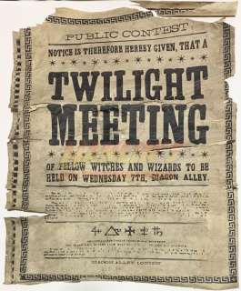 Harry Potter Franchise - Midnight Meeting of Witches Diagon Alley Poster | Hanlin Auction Service