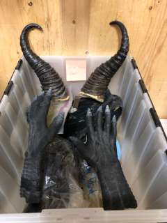 "Reaper" - "Nina Deamon" - With Wings & Box of accessories | Direct Liquidation