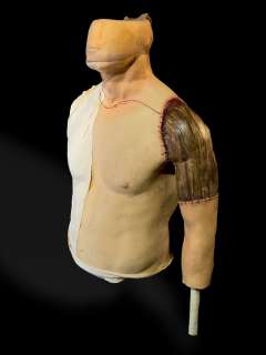 The Magicians - faun male torso w/wodden left shoulder | Direct Liquidation