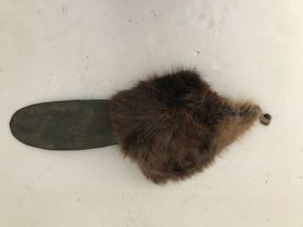 Beaver SFX Tail/ Hertz Commercial | Premiere Props