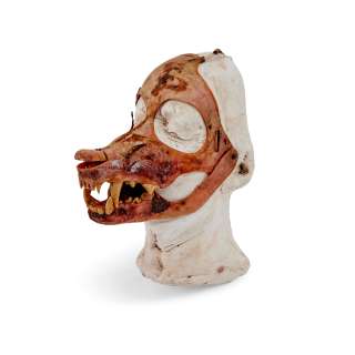 The Company of Wolves: Three model heads, ITC Entertainment, 1984, Qty | Bonhams