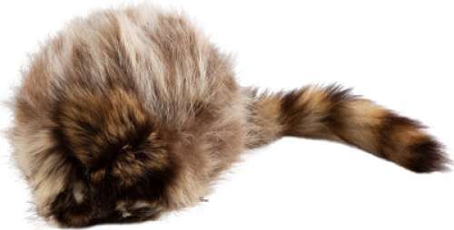 Davy Crockett Cap Once Belonged to Fess Parker.... | Heritage