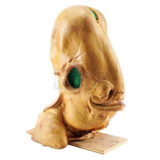 STAR WARS - EP VI - RETURN OF THE JEDI (1983) - Lot 324 - Admiral Ackbar (Erik Bauersfeld) Head Casting From Original Mold