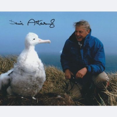 TV and Documentary Legend - Signed by Sir David Attenborough | Catawiki