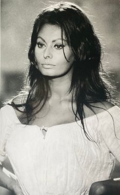 Steve Schaphiro (1934-2022) - Sophia Loren, 1964. Italie. | Catawiki