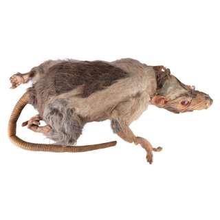 TRILOGY OF TERROR II (1996) - Lot #400 : Oversized Graveyard Rat Puppet