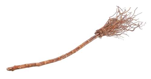 HARRY POTTER AND THE SORCERER’S STONE: "SHOOTING STAR" HOGWARTS SCHOOL BROOM (WITH DVD) | Julien’s