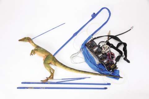 The Lost World: Jurassic Park 2 "Compsognathus" screen used animatronic puppet. | Profiles in History