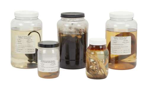 CSI: Crime Scene Investigation - Gil Grissom (William Petersen) Office Set Decorations