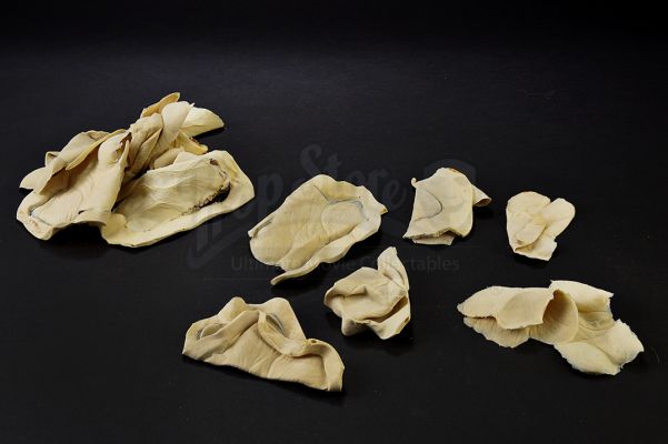 Gorillas in the Mist | Left Palm Appliances | Propstore (Buy Now)