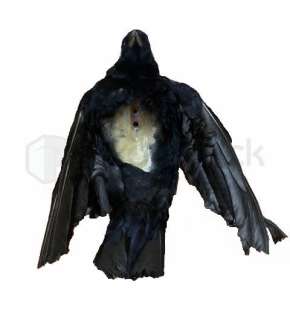 Lot 154 - The Lone Ranger (2013) Tonto Head Crow