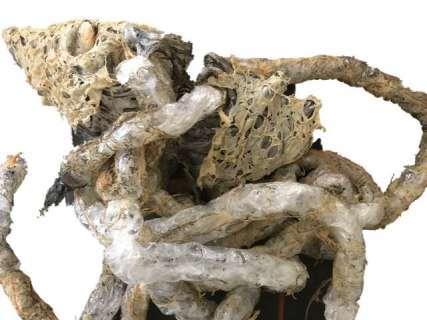 Alien Vs. Predator Requiem Alien Cocoon Movie Props | Premiere Props