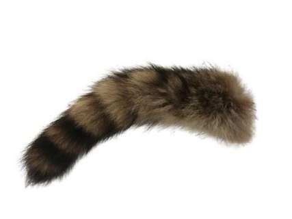 SFX Raccoon Tail Movie Props | Premiere Props