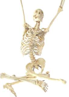 Bones | Gormogon’s Skeleton | ScreenBid