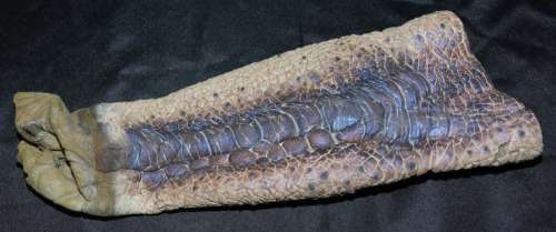 Godzilla Screen Used Movie Prop Arm Prosthetic for one of Godzilla’s Babies - 1998 | SWAU