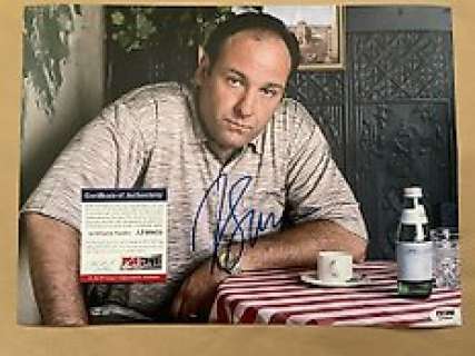 The Sopranos | The Sopranos - Signed by James Gandolfini (+) Tony Soprano - with PSA/DNA Certification - No Reserve! | Catawiki